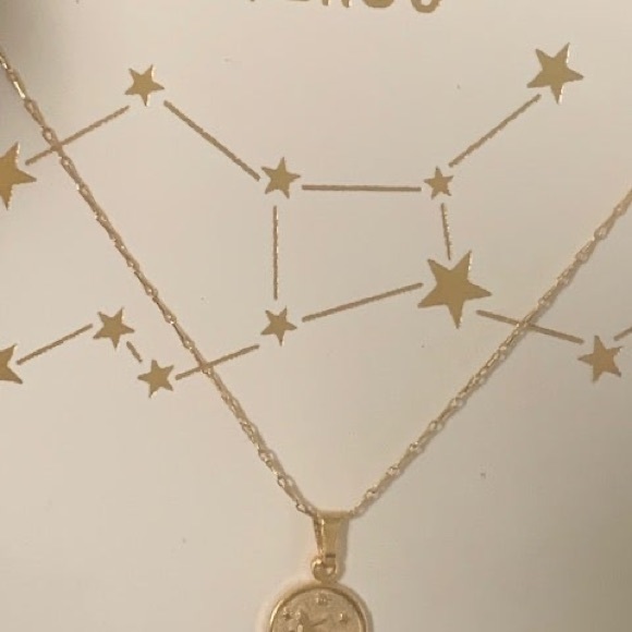 Tiny Zodiac Coin Necklace - Picture 5 of 11